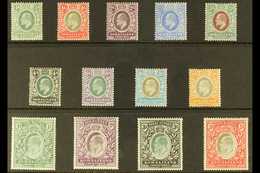 1904 KEVII Complete Set, SG 32/44, Fine Mint. Fresh And Attractive. (13 Stamps) For More Images, Please Visit Http://www - Somaliland (Protectoraat ...-1959)