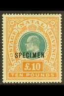 NATAL 1902 £10 Green And Orange, Ed VII, Ovpt "Specimen", SG 145as, Superb Mint Og. For More Images, Please Visit Http:/ - Zonder Classificatie