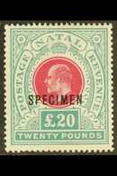 NATAL 1902 £20 Red And Green, Ed VII, Ovptd "Specimen", SG 145bs, Very Fine Mint, Large Part Og. For More Images, Please - Unclassified