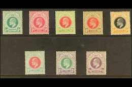 NATAL 1904 Ed VII Set, Wmk MCA, Complete To 2s 6d, SG 146/57, Vf Mint. (8 Stamps) For More Images, Please Visit Http://w - Non Classificati