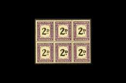 1948-49 POSTAGE DUE 2d Black And Violet, Block Of Six, Showing Thick (double) "D" In Four Positions (R15 5-6, R16 5-6),  - Ohne Zuordnung