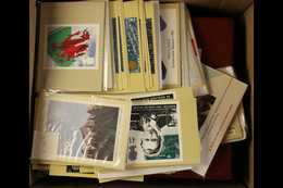 PHQ CARD COLLECTION 1980's To 2015. Apparently All Different Collection Of Sets Presented In Three Dedicated Albums & A  - Altri & Non Classificati