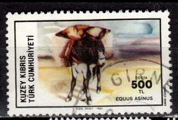 CY TR+ Türkisch Zypern 1985 Mi 165 Esel - Used Stamps