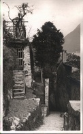 ! Alte Fotokarte Aus Lugano , 1931, Photo, Schweiz, Suisse - Lugano
