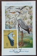 Pologne - Carte Maximum / CM 1964 - YT N°1351 - Faune / Oiseaux  / Héron Cendré - Cartes Maximum