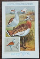 Pologne - Carte Maximum / CM 1963 - YT N°1070 - Faune / Oiseaux  / Outarde Barbue - Cartes Maximum