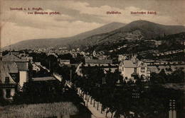 Auerbach A. D. Bergstrasse, Von Bensheim Gesehen Mit Melibokus Und Auerbacher Schloss - Auerbach (Vogtland)