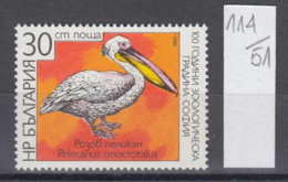 51K114 / 3689 Bulgaria 1988 Michel Nr. 3660 - Rosapelikan (Pelecanus Onocrotalus) Great White Pelican , Sofia Zoo - Pélicans