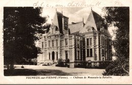 VOUNEUIL SUR VIENNE  CHÂTEAU DE MOUSSAIS LA BATAILLE - Vouneuil Sur Vienne