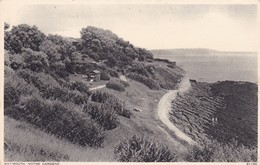 Postcard Weymouth Nothe Gardens [ Photochrom ] My Ref  B12658 - Arundel