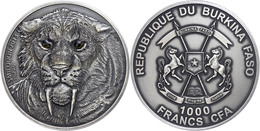 1.000 Francs, 2013, Säbelzahntiger - Real Eye Effect, 1 Unze Silber, Etui Mit OVP Und Zertifikat. Auflage Nur 500 Stück, - Burkina Faso