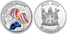 20 Dollars, 2013, Great Barrier Reef, 2 Unze Silber, Coloriert, Antik Finish, Etui Mit OVP Und Zertifikat. Auflage Nur 5 - Fidschi
