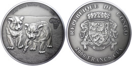 2.000 Francs, 2013, Africa - Babylöwen, 3 Unzen Silber, Antik Finish, In Kapsel Mit Zertifikat, St. Auflage Nur 500 Stüc - Gabun