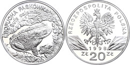 20 Zlotych, Silber, 1998, Tierwelt-5. Ausgabe-Kreuzkröte, KM 340, In Kapsel, PP.  PP - Polen