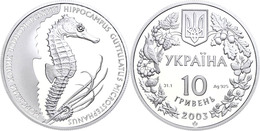 10 Hriwna, 2003, Flora Und Fauna Der Ukraine-10. Ausgabe-Seepferdchen, KM 194, Parchimowicz 551, In Kapsel, PP.  PP - Ukraine