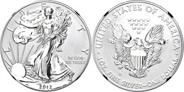 1 Dollar, 2012, S, Silver Eagle, In Slab Der NGC Mit Der Bewertung PF70, Reverse Proof, First Releases, Black Core. - Sonstige & Ohne Zuordnung