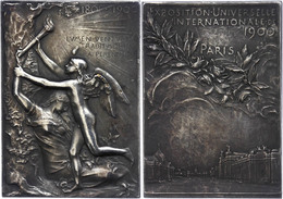 Frankreich, Versilberte Bronzeplakette (ca. 51x36mm, Ca. 36,74g), 1900, Von O. Roty, Auf Die Weltausstellung. Av: Geflüg - Sonstige & Ohne Zuordnung