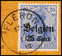 "FLERON 9 IX 18", Klar Auf Paketkartenausschnitt 25 C., Katalog: 18 BS - 1° Guerra Mondiale