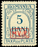 5 Bani, Tadellos Postfrisch, Unsigniert, Mi. 170.-, Katalog: 1 ** - Sonstige & Ohne Zuordnung