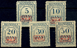 5 Bani - 50 Bani Portomarken, Tadellos Postfrisch Mit Der Für Diese Ausgabe üblichen Gummierung, Mi. 400.-, Katalog: 1/5 - Other & Unclassified