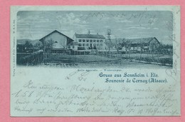 68 - GRUSS Aus SENNHEIM - CERNAY - Waisenhaus - Asile Agicole - 2 Scans - Cernay