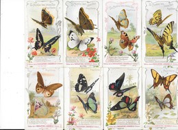 CHROMOS - Collection De 24 Chromos " Le Monde Des Insectes - Les Papillons " Les Lépidoptères  - L 1 - Aiguebelle