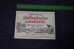 Südbadischer Landwein Bereich Ortenau Müller Thurgau Vendange Allemagne Germany - Beroepen