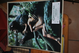 Rare Affichette Film Greystoke La Légende De Tarzan Christophe Lambert   Format 21x30 Cm - Affiches & Posters
