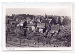 5244 DAADEN - FRIEDEWALD, Ortsansicht - Altenkirchen