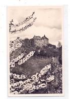 5242 KIRCHEN - FREUSBURG, Jugendburg, 1956 - Kirchen