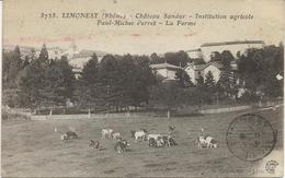 LIMONEST - RHONE - CHATEAU SANDAR - LA FERME -INTITUTION AGRICOLE P.M.PERRET -ANNEE 1918 - Limonest