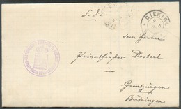 Lettre En Franchise De Port De DIEKIRCH Le 9-6-1902 Avec Cachet Violet CANTONNEMENT FORESTIER DE DIEKIRCH * GRAND-DUCHE - Officials