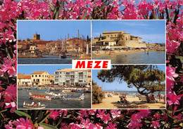 PIE-RO-18-8431 : MEZE - Mèze