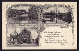 GRUSS Aus HAMMELBURG - OLD POSTCARD (see Sales Conditions) - Hammelburg