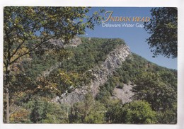 Indian Head, Delaware Water Gap, Unused Postcard [22519] - Sonstige & Ohne Zuordnung