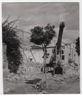 Photo Originale Algérie Chlef Orléansville Séisme Tremblement De Terre 1954 - Afrique