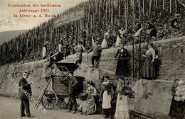 WEIN - TRAUBENLESE Des Berühmten Jahrgangs 1911 In LIESER,Mosel  Ecke Gestoßen I-II - Ausstellungen