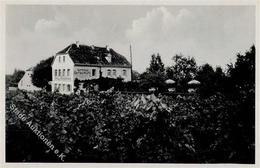 Wein Edenkoben (6732) Weingut Bergelmühle Ansichtskarte I-II Vigne - Exhibitions