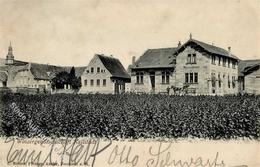 Wein Kallstadt (6701) Winzergenossenschaft Ansichtskarte I-II (Marke Entfernt) Vigne - Expositions