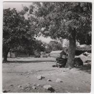 Photo Originale Algérie Chlef Orléansville Séisme Tremblement De Terre 1954 Pontéba - Africa