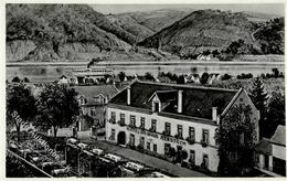 Wein Winningen An Der Mosel Eigener Wein Und Obstbau I-II Vigne - Exhibitions