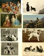Hund Partie Mit über 140 Ansichtskarten Meist Vor 1945 I-II Chien - Chiens