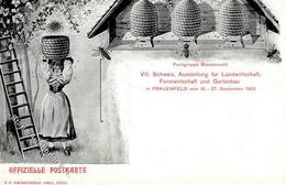 Bienen Frauenfeld Schweiz Ausstellung Für Landwirtschaft Forstwirtschaft U. Gartenbau 1903 I-II Paysans Expo - Insetti