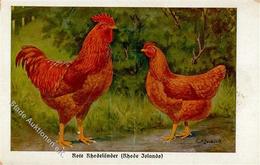 Huhn Rote Rhodeländer Sign. Zander, K. Künstlerkarte I-II - Andere & Zonder Classificatie