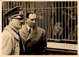 Hitler Nürnberg (8500) Besuch Im Tierpark WK II PH 1177 I-II (Reißnagelloch) - War 1939-45