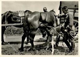 SS WK II - Unsere WAFFEN-SS - Auch Ein Kriegskind I - Weltkrieg 1939-45