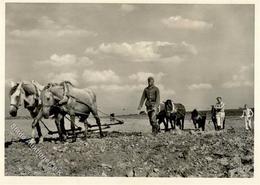 SS WK II - Unsere WAFFEN-SS - Bei Friedlicher Arbeit I - War 1939-45