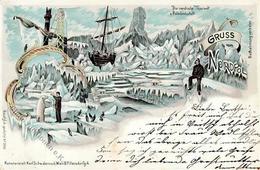 Expedition Nordpol Die Nordische Tierwelt U. Polarlandschaft Lithographie 1899 I-II - Otros & Sin Clasificación