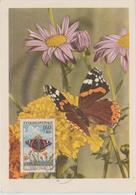 Tchécoslovaquie Carte Maximum 1961 Papillon 1191 - Brieven En Documenten