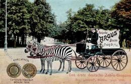 Berlin Mitte (1000) Auskunftei Argus Friedrichstr. 91 Zebra  1906 I-II (Ecken Abgestoßen, RS Fleckig) - Cameroun